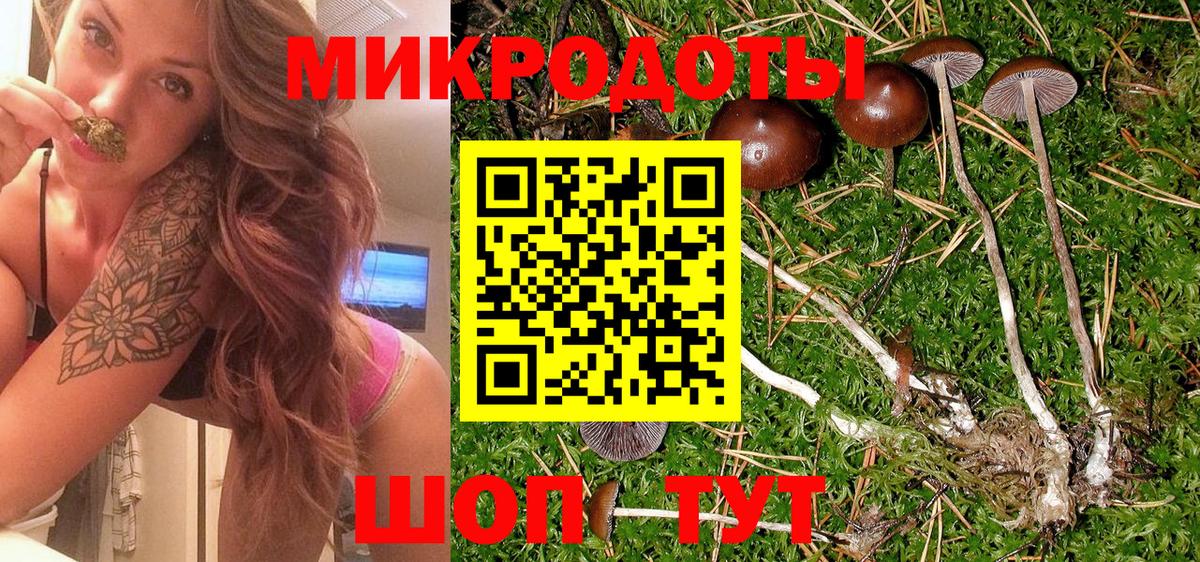 Галлюциногенные грибы прущие грибы Баксан